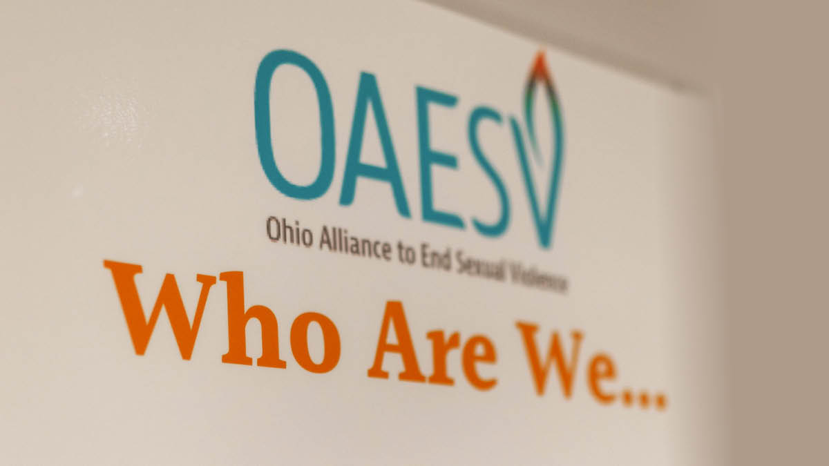 Meet Our Staff Ohio Alliance to End Sexual Violence image image